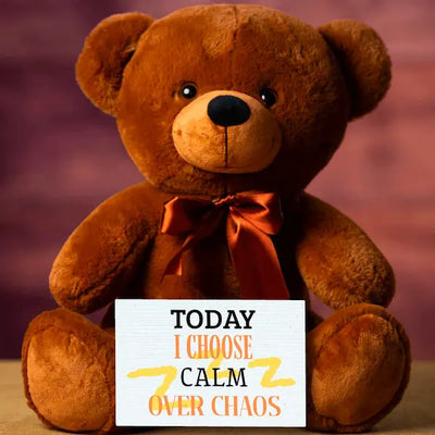 Teddy Bear Emotional Message- I CHOOSE CALM OVER CHAOS plush for mindfulness