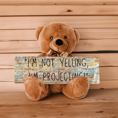 Funny Teddy Bear – I’m Not Yelling, I’m Projecting | Teka Originals