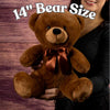 Funny Teddy Bear – I’m Not Yelling, I’m Projecting | Teka Originals