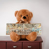 Funny Teddy Bear – I’m Not Yelling, I’m Projecting | Teka Originals