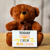 Teddy Bear Emotional Message- I CHOOSE CALM OVER CHAOS plush for mindfulness
