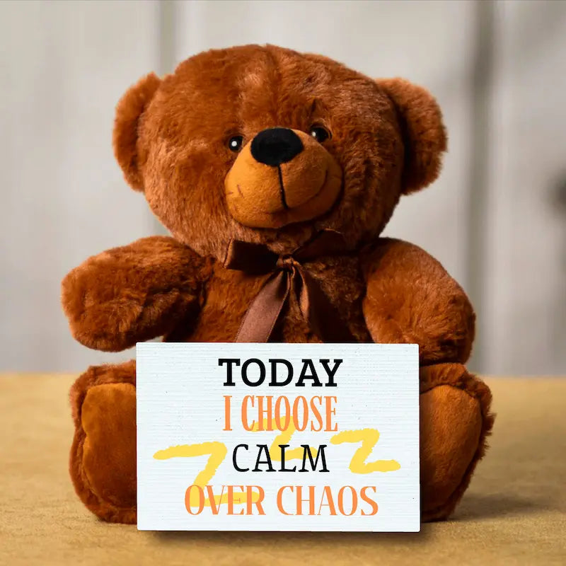 Teddy Bear Emotional Message- I CHOOSE CALM OVER CHAOS plush for mindfulness
