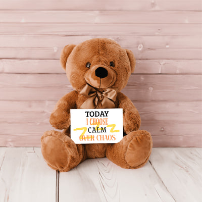 Motivational quote art with the phrase “Today I Choose Calm Over Chaos” in a soft, modern layout for peaceful living.