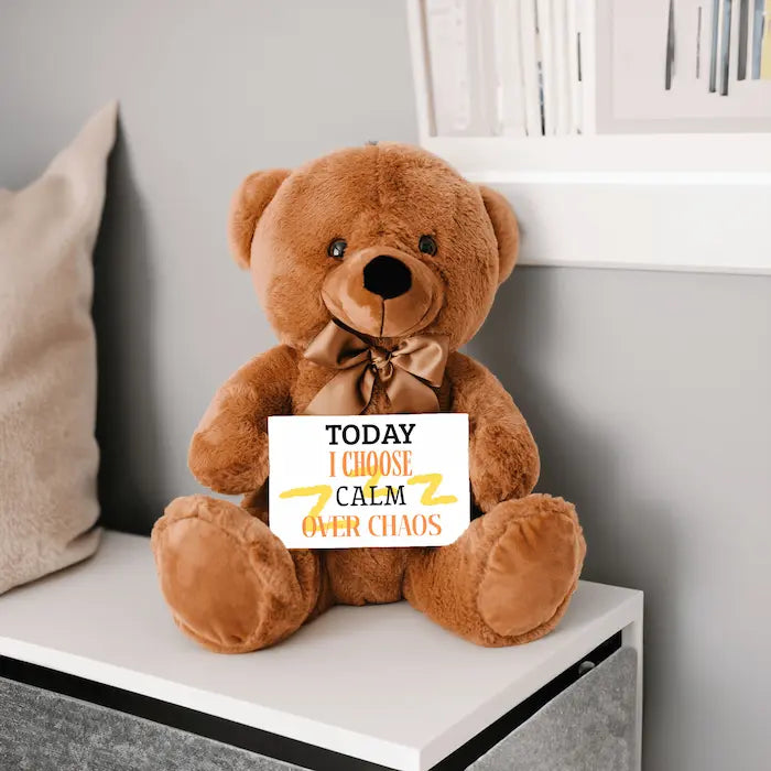 Teddy Bear Emotional Message- I CHOOSE CALM OVER CHAOS plush for mindfulness