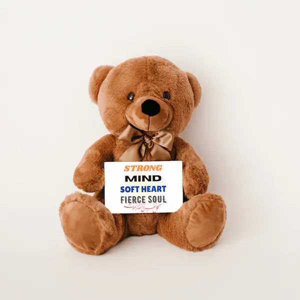 Brown teddy bear holding a sign with motivational phrases on a white background