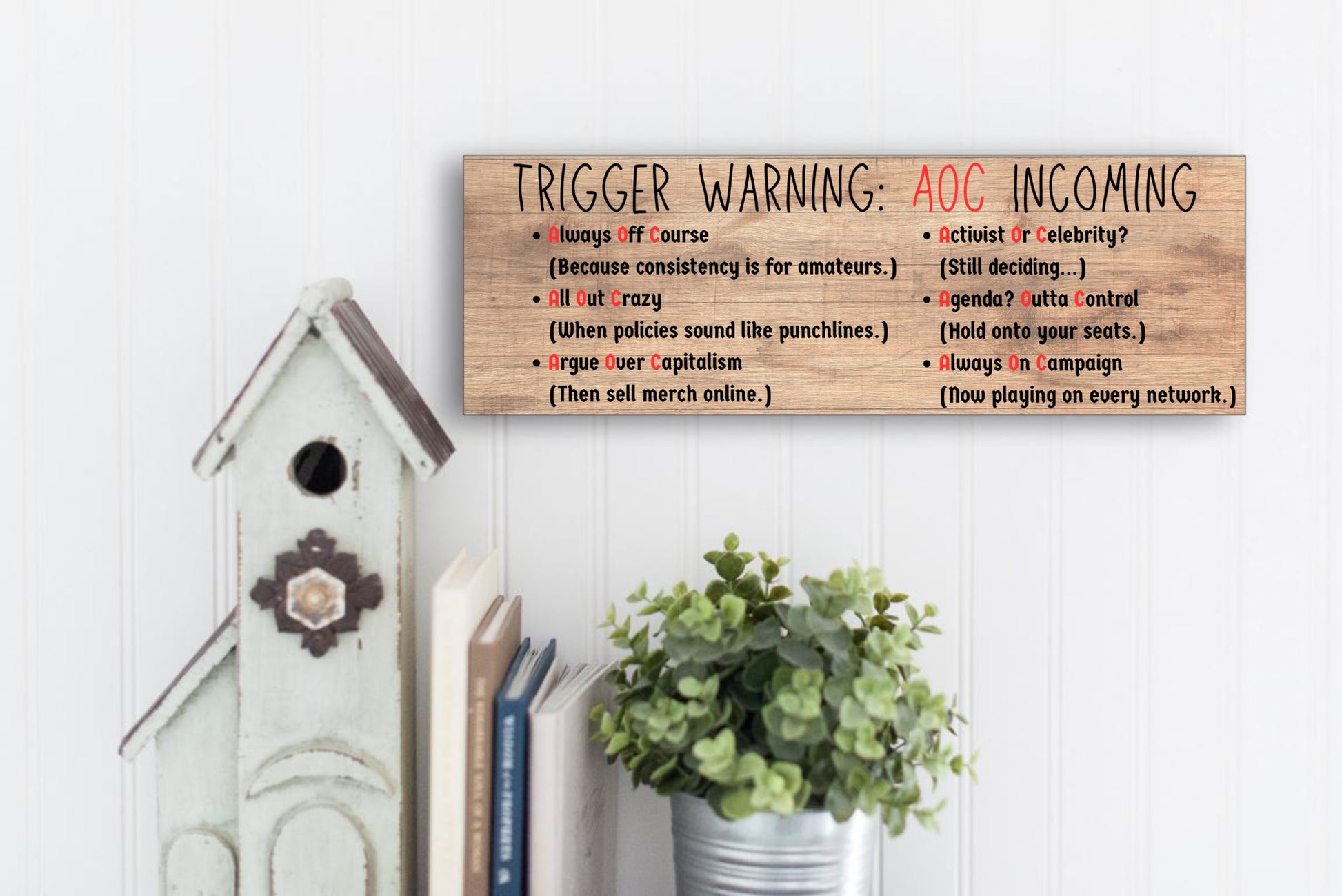 “All Out Comedy Plaque TRIGGER WARNING AOC Show political humor wall decor hanging on a wooden background”