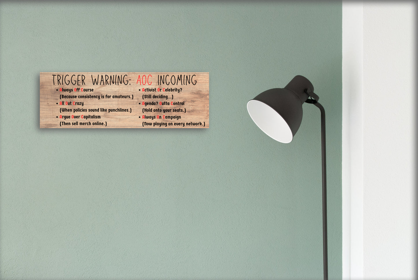 “All Out Comedy Plaque TRIGGER WARNING AOC Show political humor wall decor hanging on a wooden background”