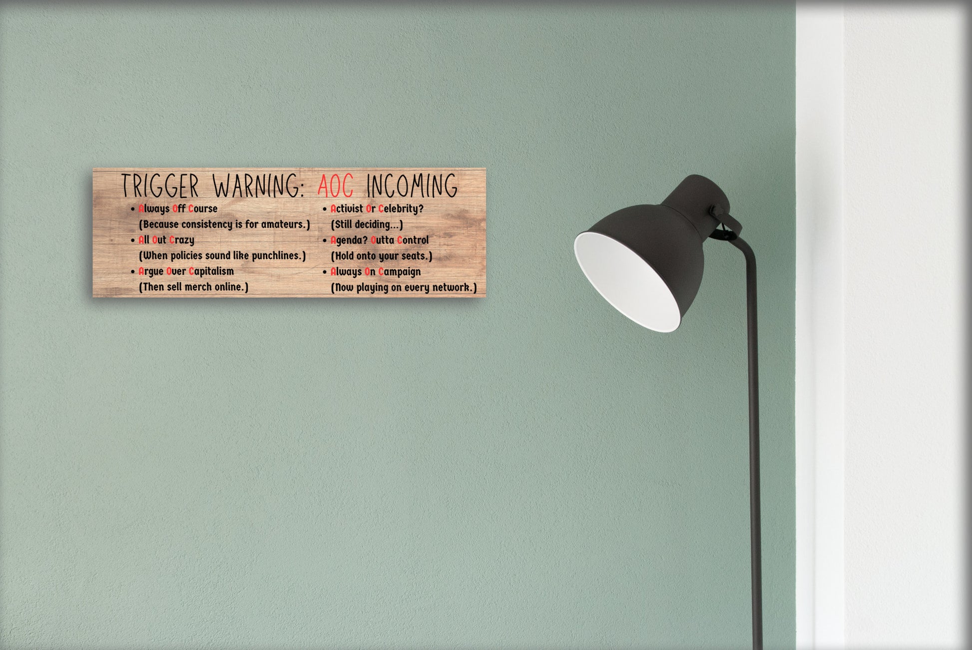 “All Out Comedy Plaque TRIGGER WARNING AOC Show political humor wall decor hanging on a wooden background”