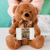 Soft plush teddy bear holding a sign that reads “Teddy Bears Tell the Truth – Not the Fake News,” a funny political and novelty gift.