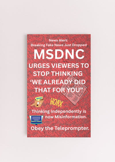 Funny political plaque with “Breaking Fake News – MSDNC” quote printed in bold on wooden sign